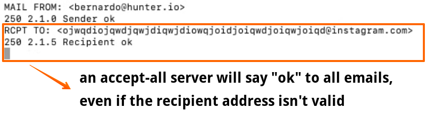 a response from an accept-all email server, accepting an email sent to a gibberish email address